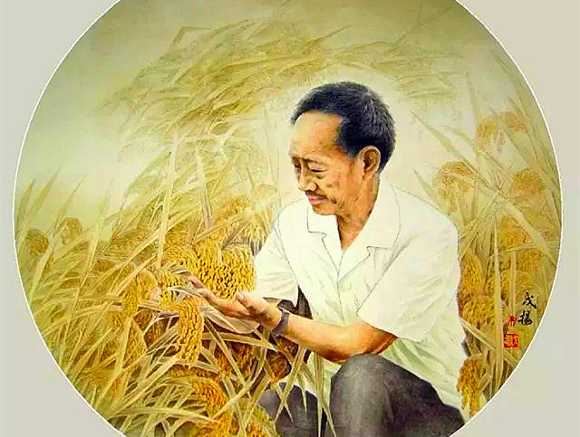 袁隆平作文素材